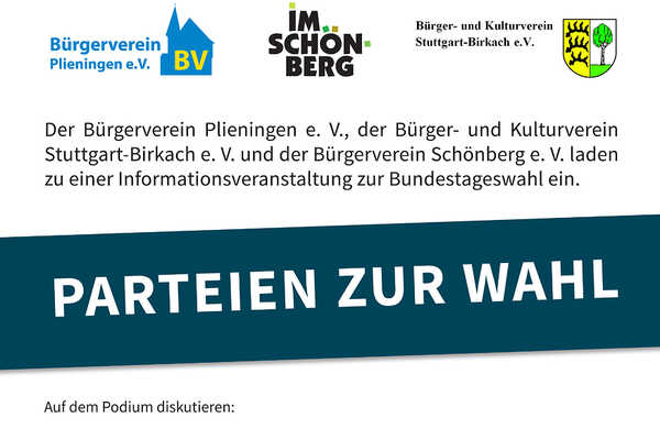 SYI-Plakat_zur_Wahl_V2_1 SYI-Plakat_zur_Wahl_V2_1